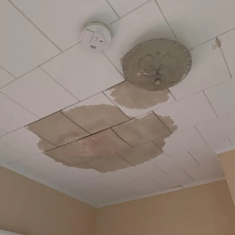 Ceiling Water Damage Repair in Campbell County, VA