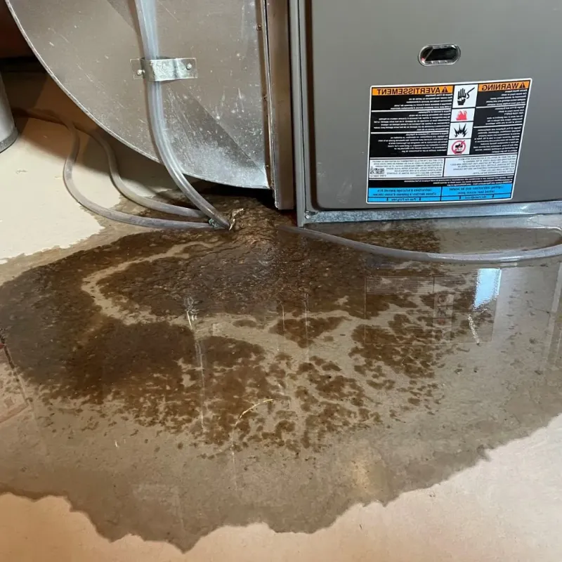 Pipe Burst and Leak Restoration in Campbell County, VA