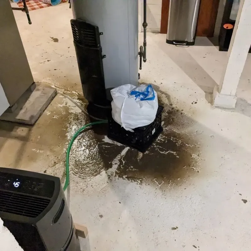 Sewage Backup Cleanup Service in Campbell County, VA